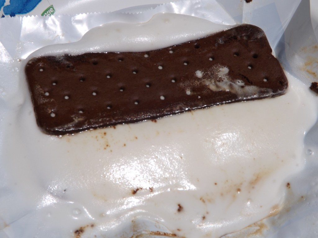 Nestle Ice Cream Sandwich melt