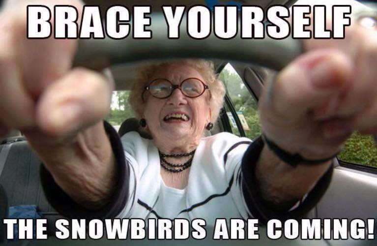 Palm Springs Snowbird Meme 1