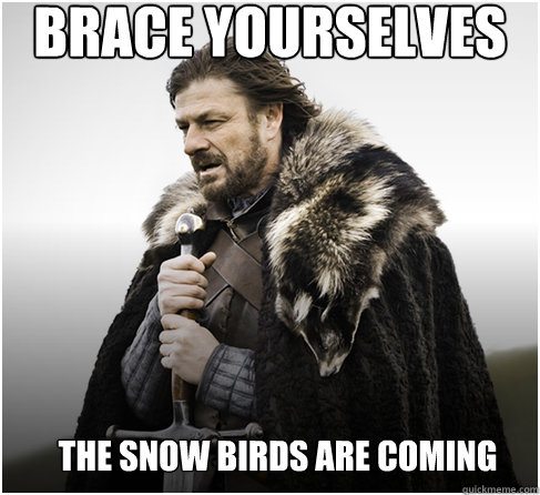 Palm Springs Snowbird Meme 2