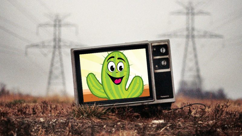 cactus tv