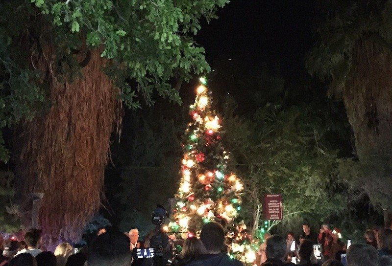 The lighting of the WildLights Christmas tree