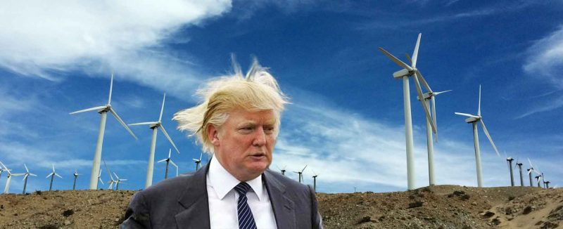 trump-windmills