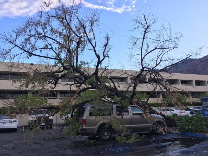 A tree falls on a car on a stormy day in Palm Desert 