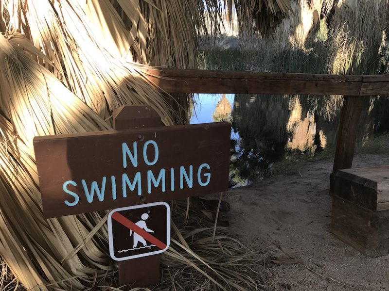 A no swimming sign at the Coachella Valley Preserve Thousand Palms Oasis
