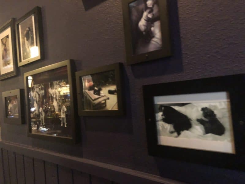 The wall of dog photos on the wall at Paul Bar in Palm Springs 