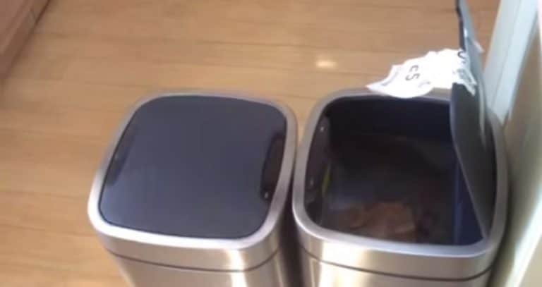 Video: Dad Finds Auto-Trash Cans to be Hilarious