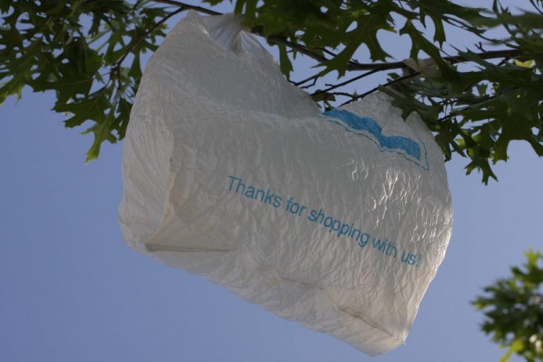 Desert Sun Readers Detect Conspiracy in Plastic Bag Ban