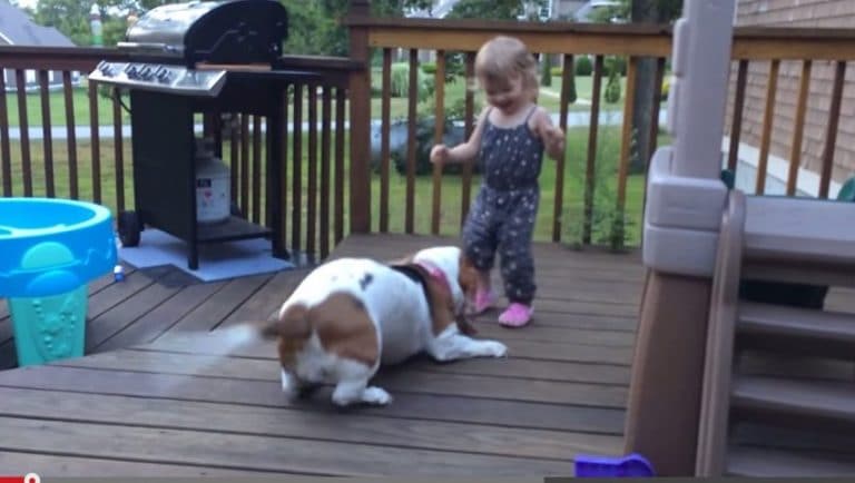 Kid and Her Basset Hound Have a Blast Dancing