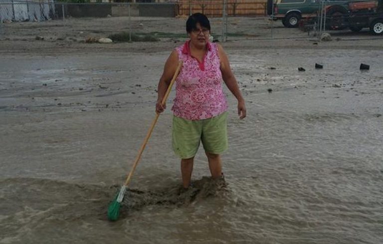 Monday Was a Good Day to Own an Ark in The Coachella Valley