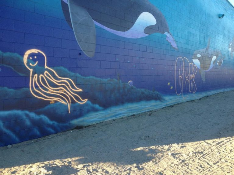 Desert Hot Springs Orca Mural Tagged