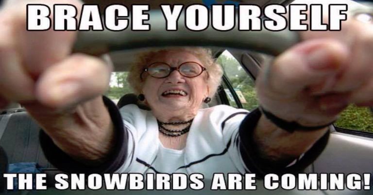 A Collection of Palm Springs Snowbird Memes