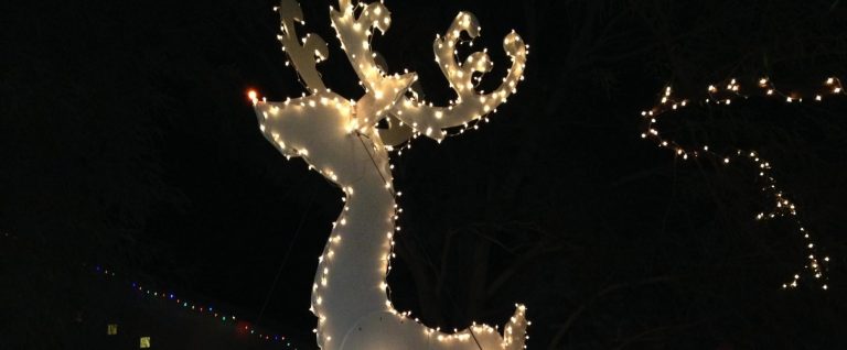 Candy Cane Lane Has 2 Strategically Placed Ornaments