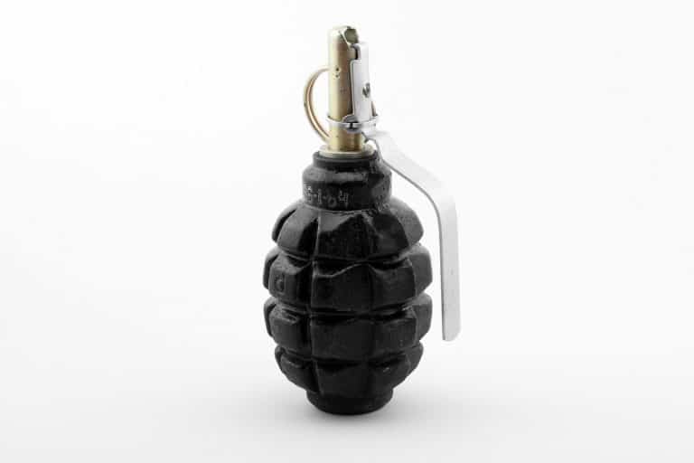 Old Couple Brings Grenade to Cathedral City’s City Hall