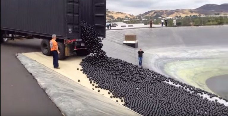 Shade Balls are the Coolest Way to Deal with the Drought