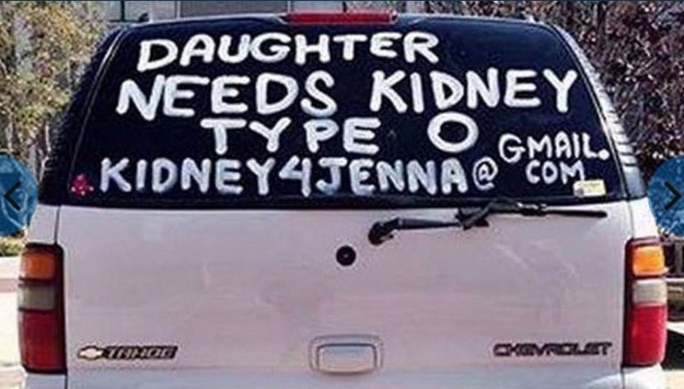 Pasadena Mom Paints Car to Help Find Kidney Donor for Her Daughter