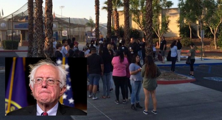 People are already in line for Bernie - Cactus Hugs