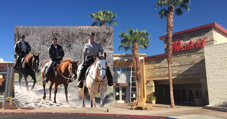 Mounted police are patrolling the Westfield Palm Desert parking lot during the Holidays