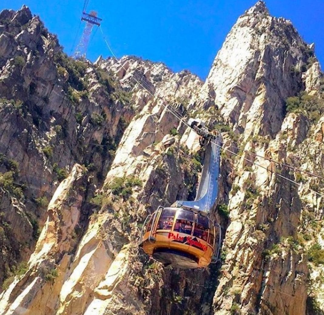 10 Tips for Visiting the Palm Springs Aerial Tramway | Cactus Hugs