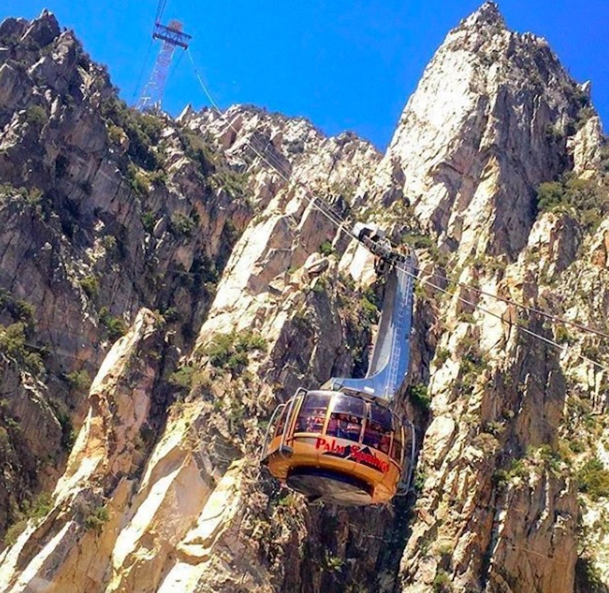 10 Tips for Visiting the Palm Springs Aerial Tramway - Cactus Hugs