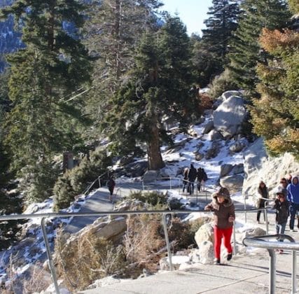 10 Tips for Visiting the Palm Springs Aerial Tramway | Cactus Hugs