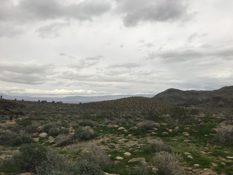 Murray Canyon Hike in Indian Canyons in Palm Springs