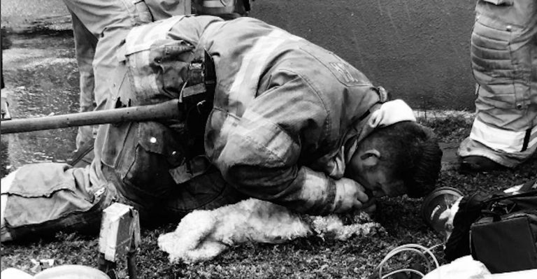 Dog pulled from fire, given CPR by hero firefighter