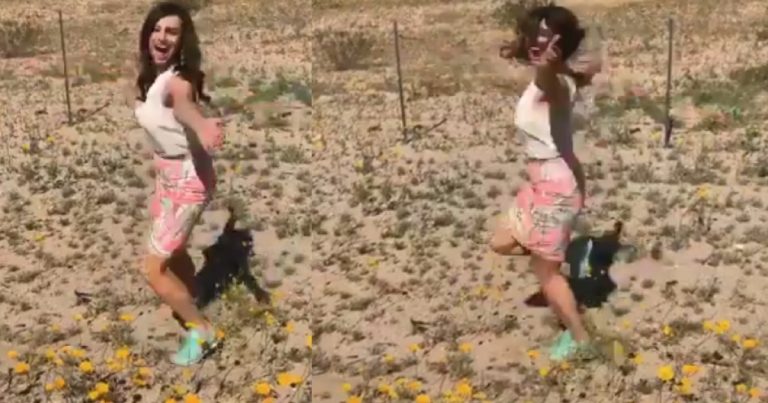 Please, don’t step on the Super Bloom