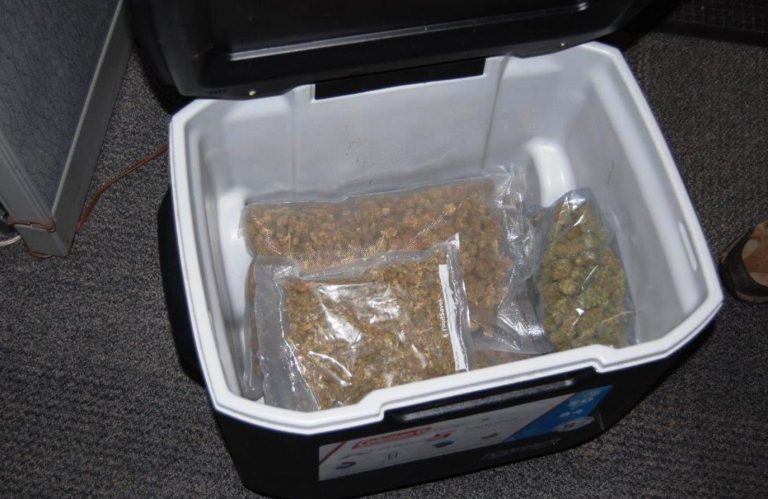 Someone donated a cooler with $24k of weed inside to Goodwill