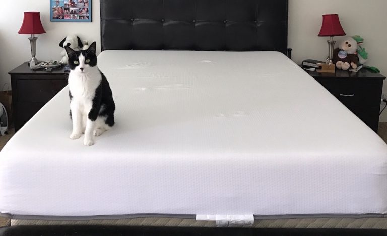 This company spent nearly 2 million hours designing a cozy mattress, so my cat and I tried it out