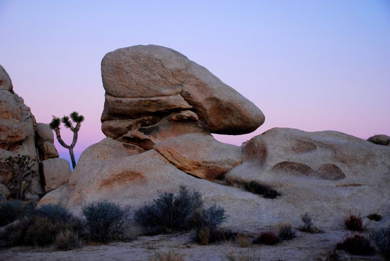 25-year-old man dies in Joshua Tree National Park