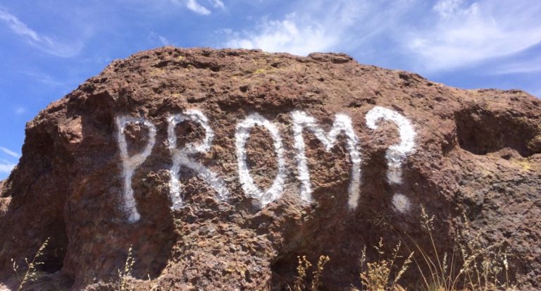 This is a terrible promposal