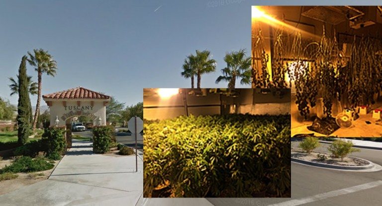 2,500 marijuana plants found growing inside Rancho Mirage gated community