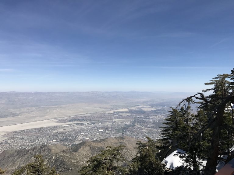 11 Tips for Hiking at the Palm Springs Aerial Tramway