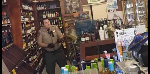 A peacock got into a SoCal liquor store and it went about as you would expect