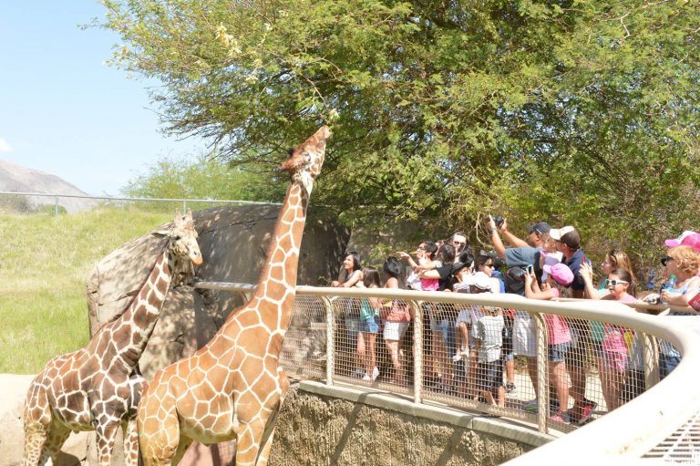 Living Desert named one of the ’10 Best Zoos in the US’