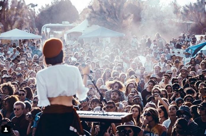 A performance at the Desert Daze Music Festival