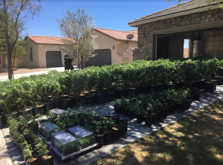 Authorities called to house fire in Desert Hot Springs find $1 million in illegal weed