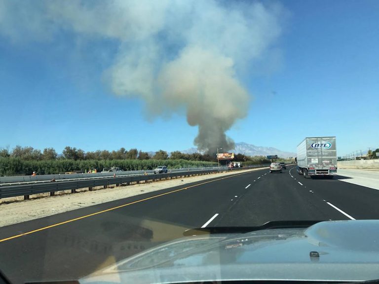 Tree fire breaks out near 10 Freeway in Indio