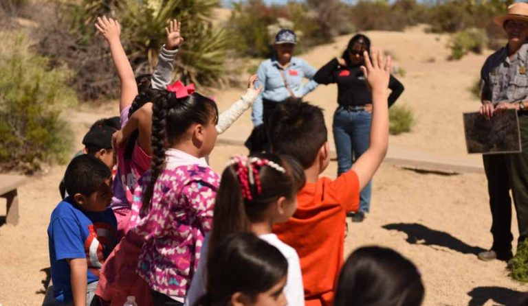 Here’s how to volunteer at Joshua Tree National Park for Public Lands Day