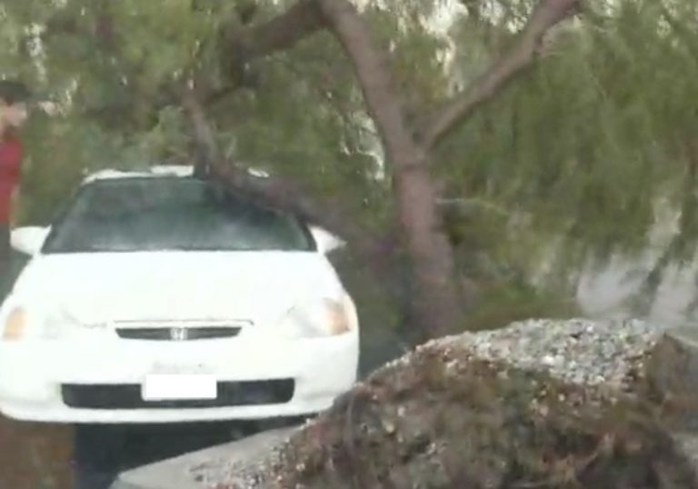 Oh man.  A guy at the Palm Springs Staples got a nasty surprise from Mother Nature.