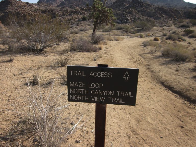 Report: 2 bodies found near Maze Loop in Joshua Tree