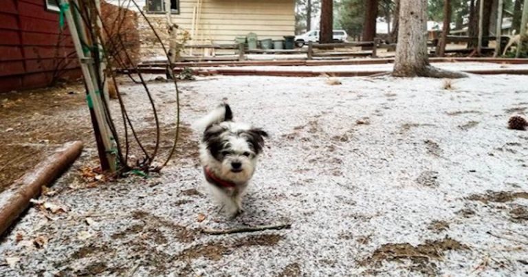 Some snow finally fell in Big Bear