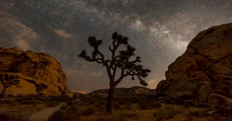 Here are some awesome, lesser-known hikes in Joshua Tree National Park