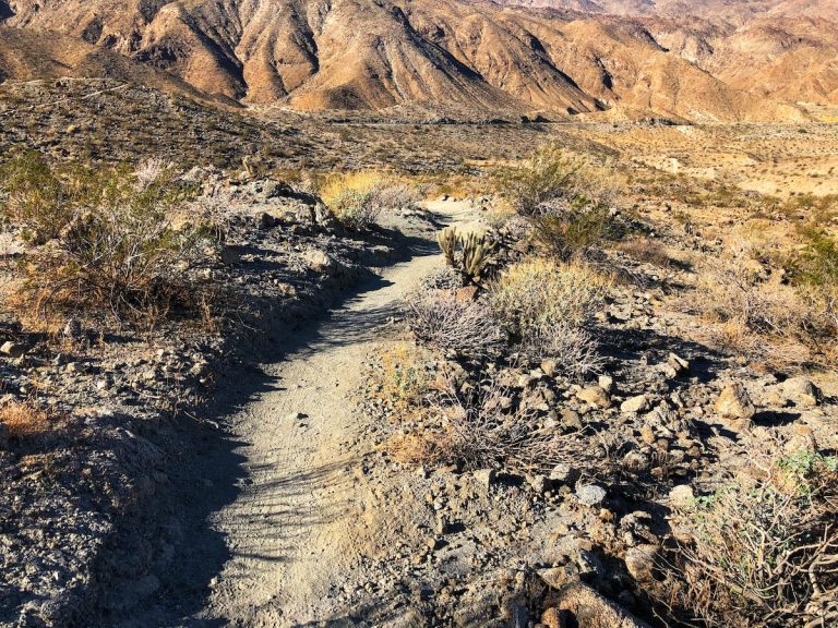 A helpful reminder as to who has the right of way when hiking