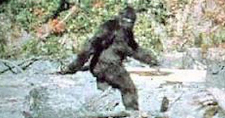 A woman is suing California, demanding the state recognize that Bigfoot is real