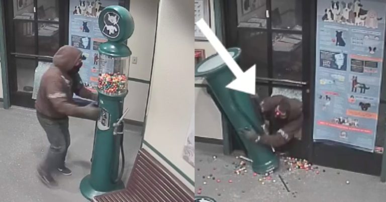 Extremely terrible ‘gumball machine bandit’ caught on video