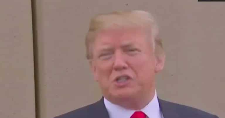 Trump: Wall needed because would-be crossers are ‘professional mountain climbers’