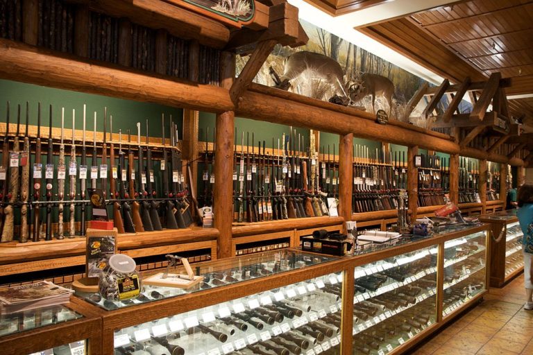 Proposed bill would raise age to 21 to buy rifles and shotguns in California