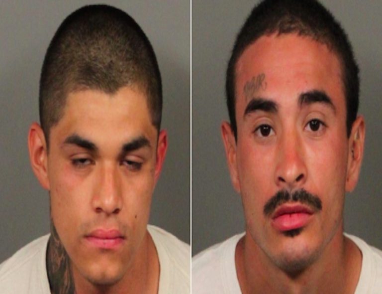 2 arrested for assault, robbery in Sky Valley