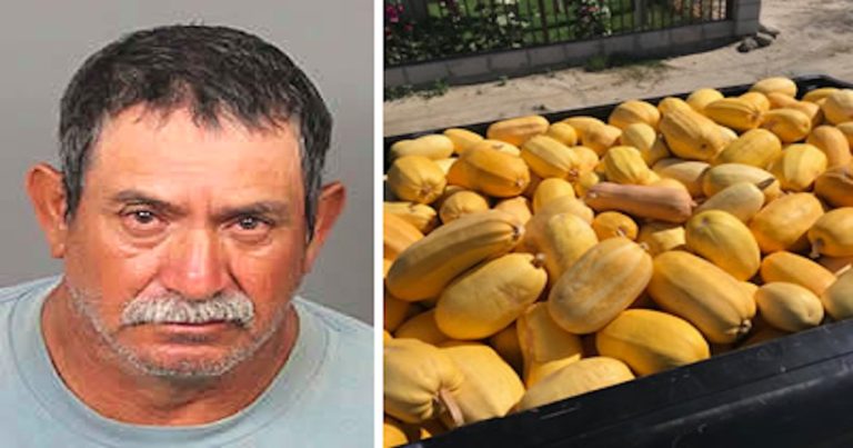 Man found with 800 pounds of stolen spaghetti squash in his car in Thermal